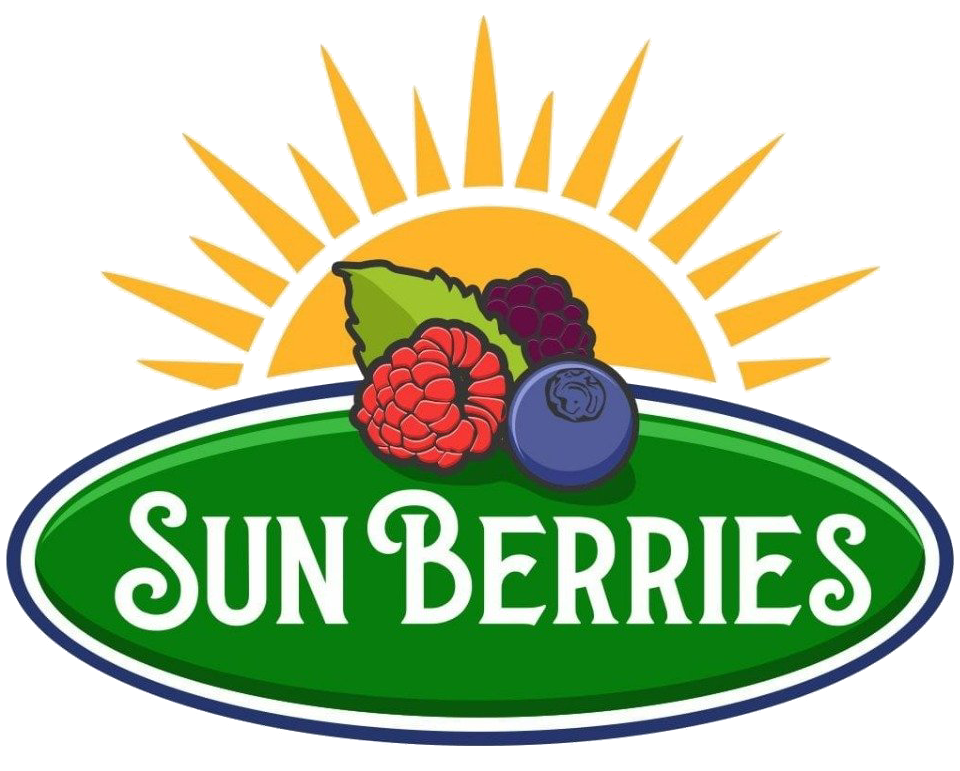 Sun Berries Logo